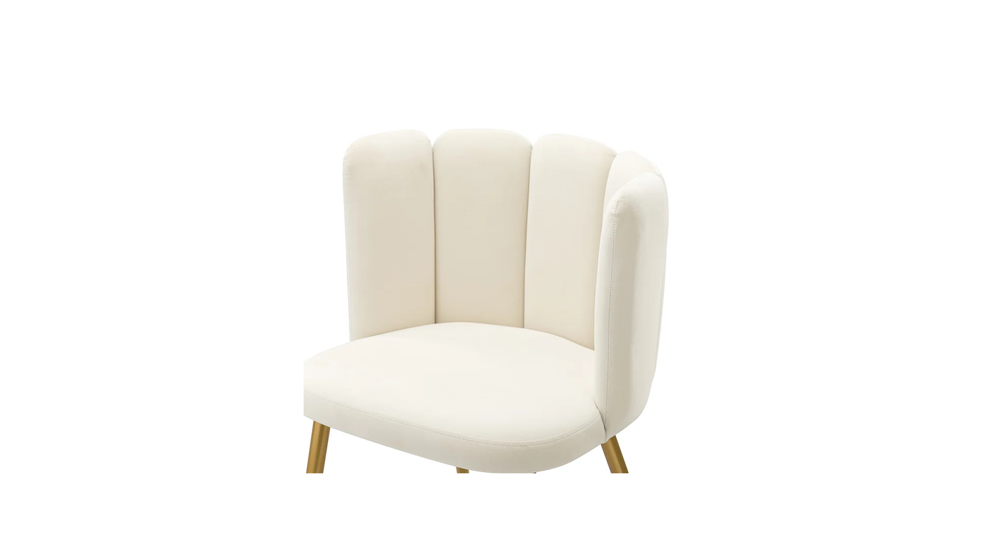 Doe Buck Velvet marsillio   Accent Chair/dining chair/café chair/side chair   for  Living Room, dining room ,restaurant  Armchair  with Gold Legs.