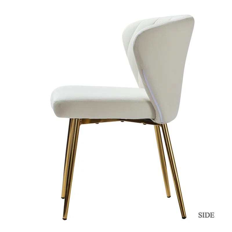 Doe Buck Velvet Chimene   Accent Chair/dining chair/café chair  for  Living Room, dining room ,restaurant  Armchair  with Gold Legs.