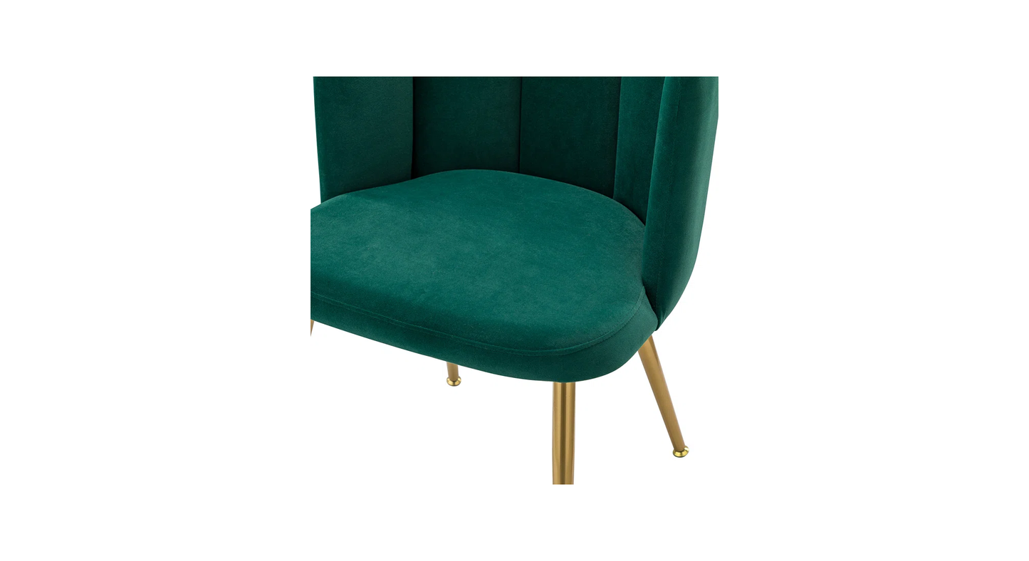 Doe Buck Velvet marsillio   Accent Chair/dining chair/café chair/side chair   for  Living Room, dining room ,restaurant  Armchair  with Gold Legs.