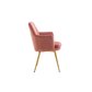 Doe Buck Velvet Tonas   Accent Chair/dining chair/café chair  for  Living Room, dining room ,restaurant  Armchair  with Gold Legs.