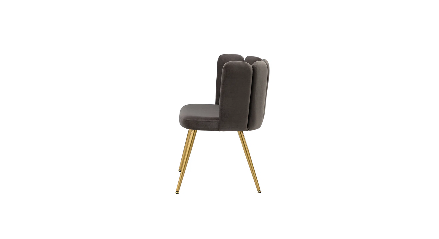 Doe Buck Velvet marsillio   Accent Chair/dining chair/café chair/side chair   for  Living Room, dining room ,restaurant  Armchair  with Gold Legs.