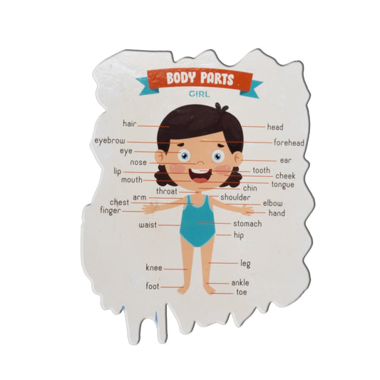 Body Parts Girl Cutout