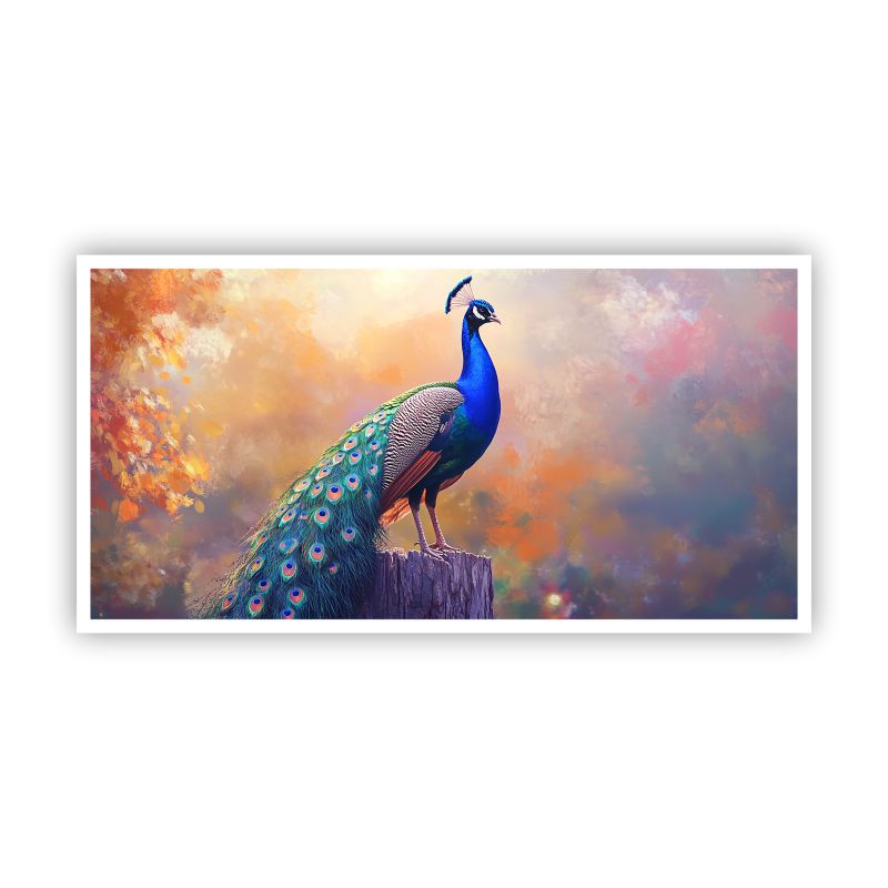 Peacock paintings