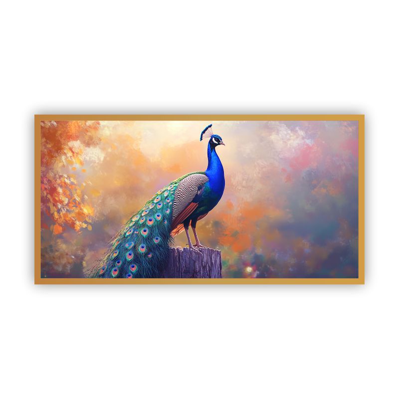 Peacock paintings