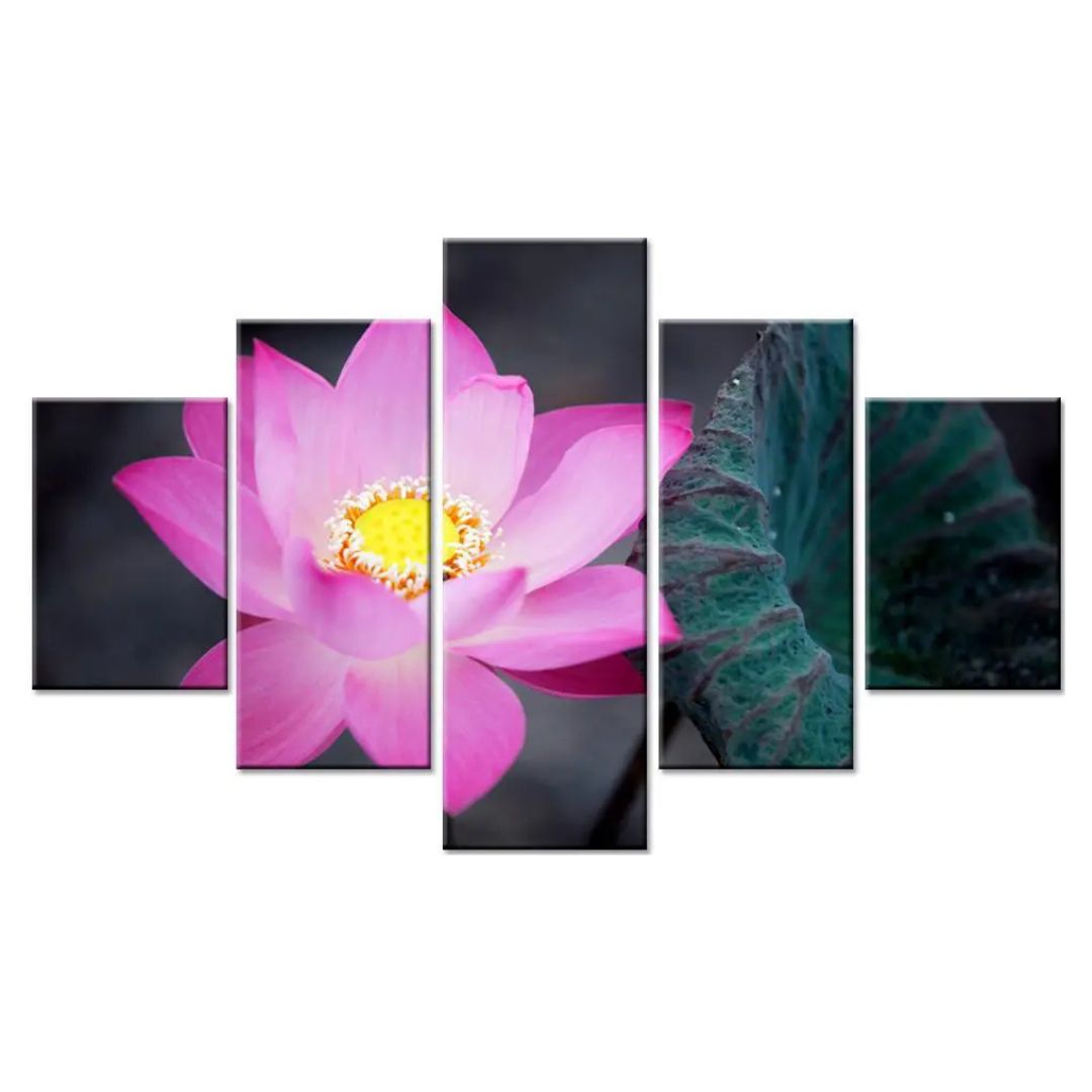 Elegant Pink Lotus Flower Multi Frame Canvas Wall Painting | Serene Home Décor Art